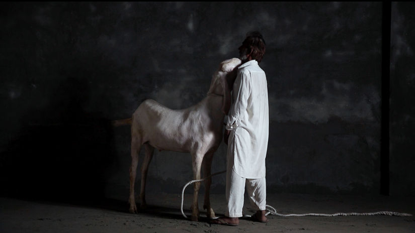 A Feast of Sacrifice, 2022. (excerpt)